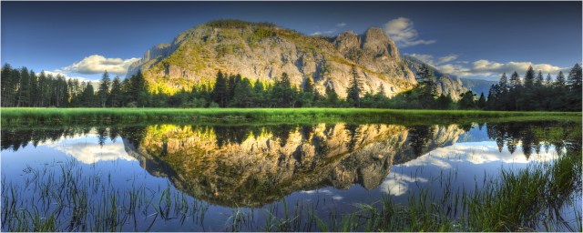 Meadow-Reflections-YNp0488-12x30 copy