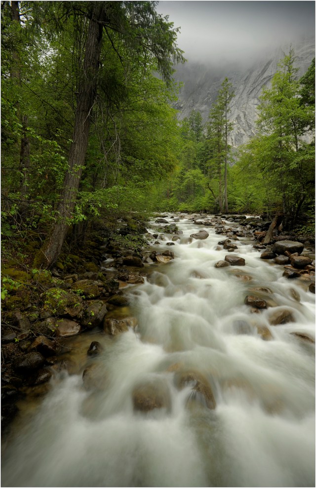 Merced-Mood02YNP-11x17 copy
