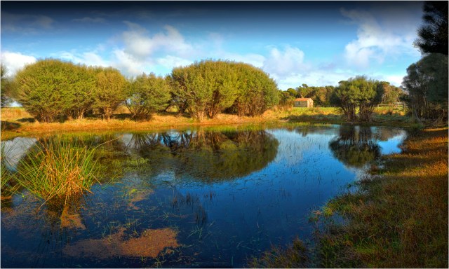 Lagoon-Reflections-KI077-18x30 copy