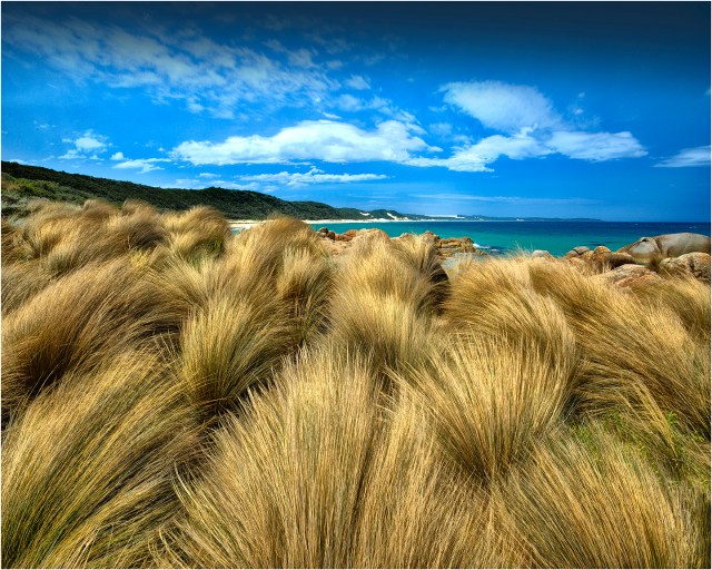 Coastline-CroajingalongNP-V0291-16x20 copy