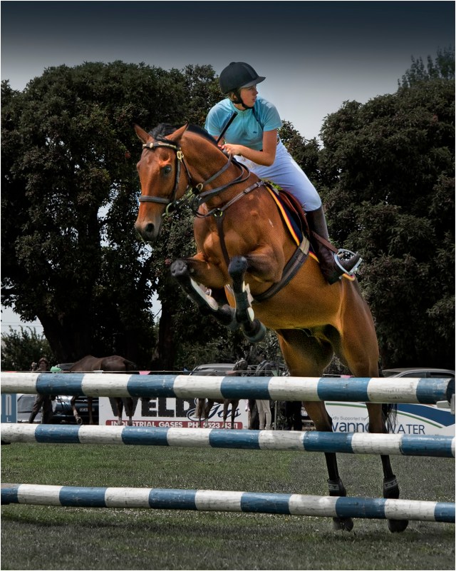 Horse-Jump-Tyrendarra-Show-V0394-16x20 copy