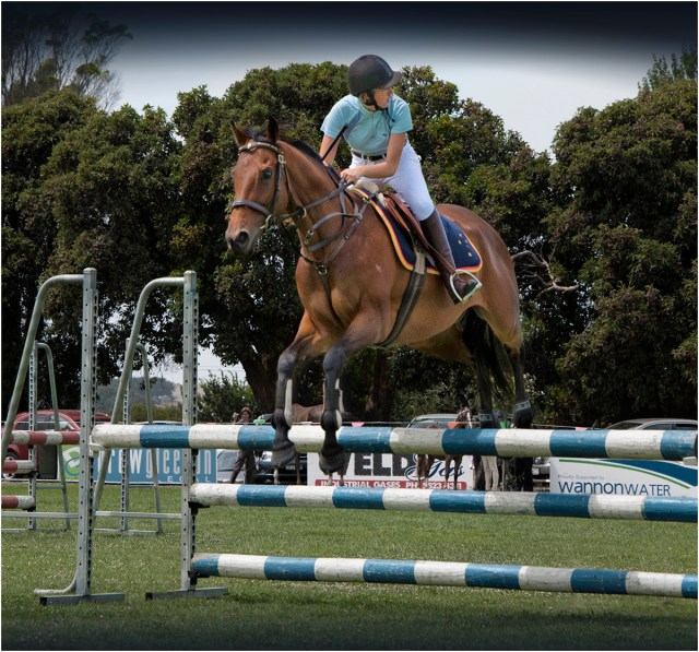 Show-Jump-Tyrendarra-V398-14x15 copy