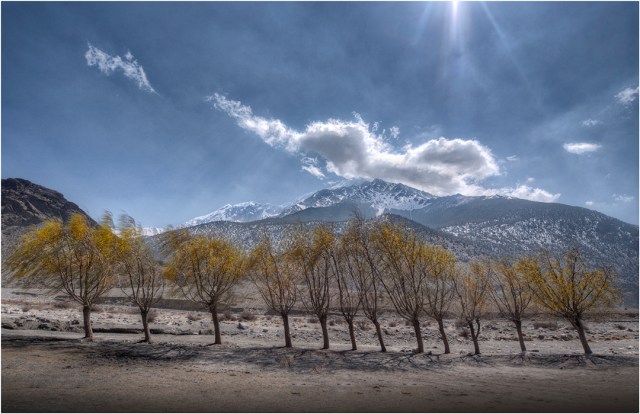 On-the-Road-to-Marpha-Vllage-NEP052-11x17 copy