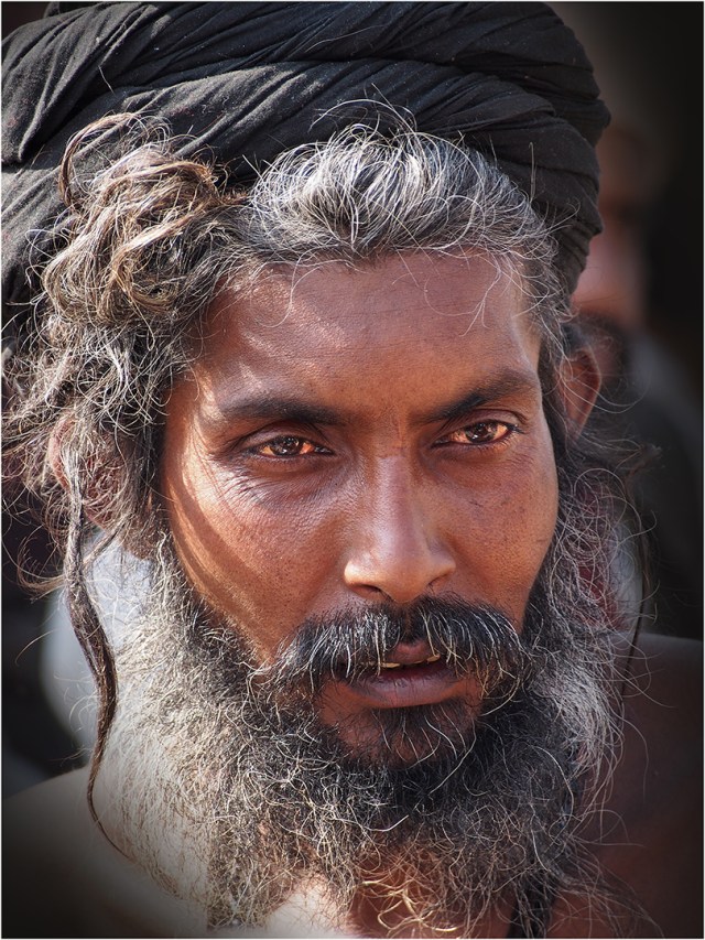 Sardu-NEP076-15x20 copy