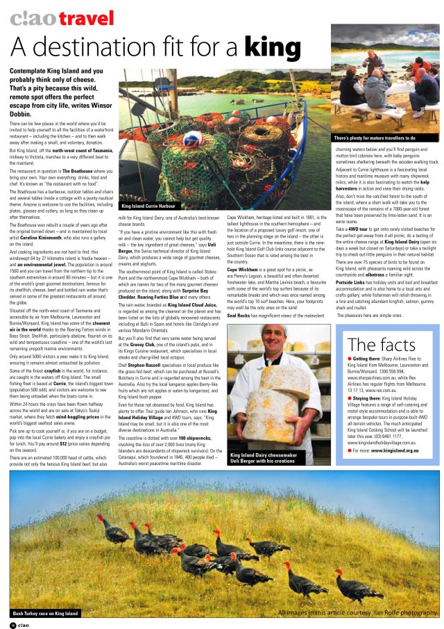 Ciao-Travel King lsland-Article