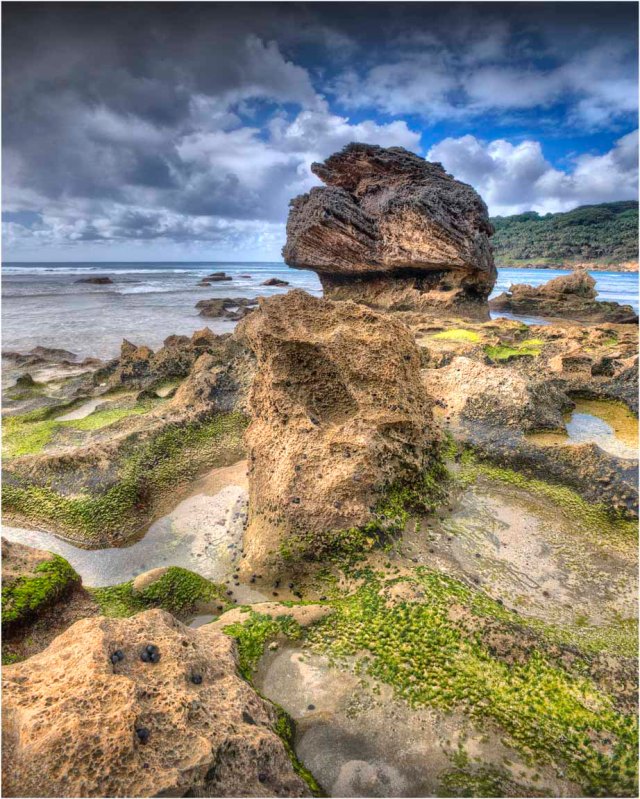 Middle-Beach-Rock-Formations-LHI0141-16x20 copy