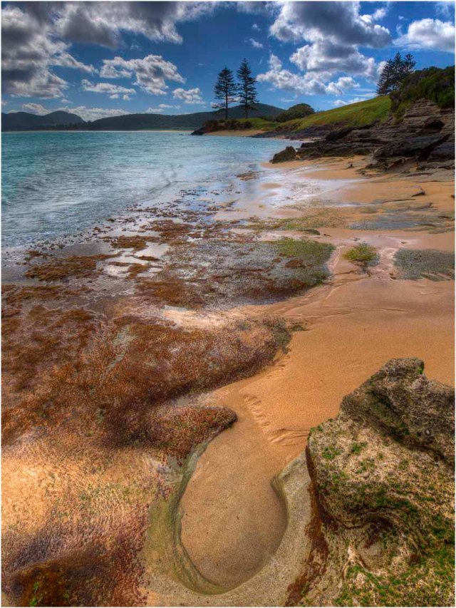 View-towards-Lover's-Cove-LHI0176-12x16 copy