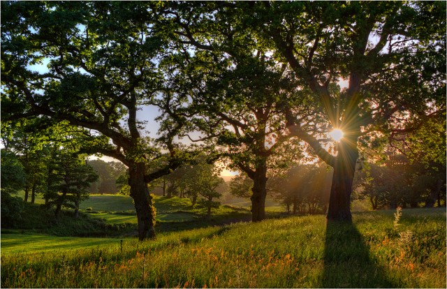 Grange-Heath-Backlight-E0567-11x17 copy