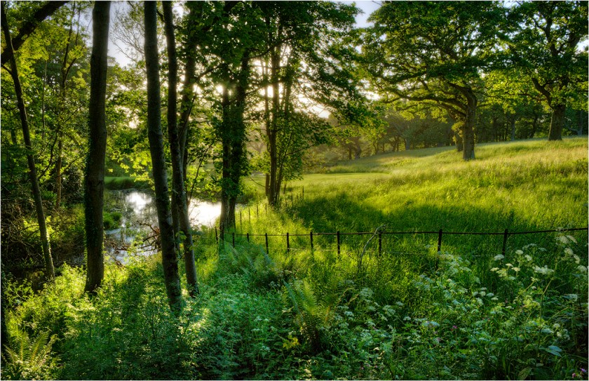 Grange-Heath-Backlighting-E0572-11x17 copy