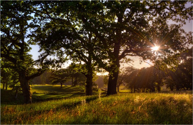 Grange-Heath-Sunstar-E0582-11x17 copy