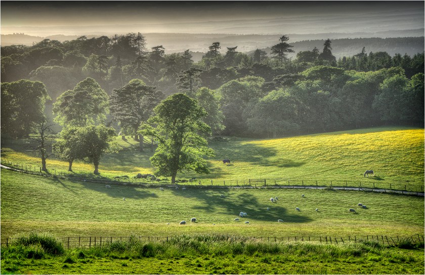 Grange-Heath-Valley-E0569-11x17 copy
