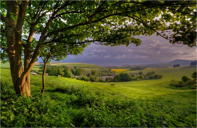 View-to-Kimmeridge-Bay-E0556-11x17 copy