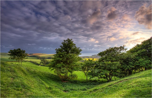 View-to-Kimmeridge-Bay-E0557-11x17 copy