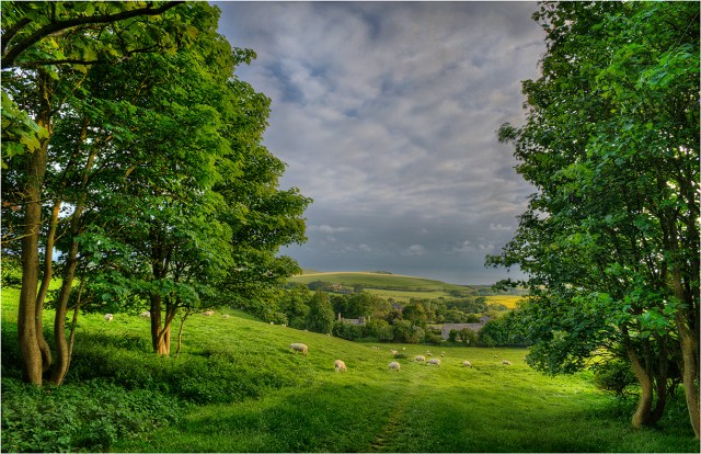 View-to-Kimmeridge-Dorset-E0559-11x17 copy