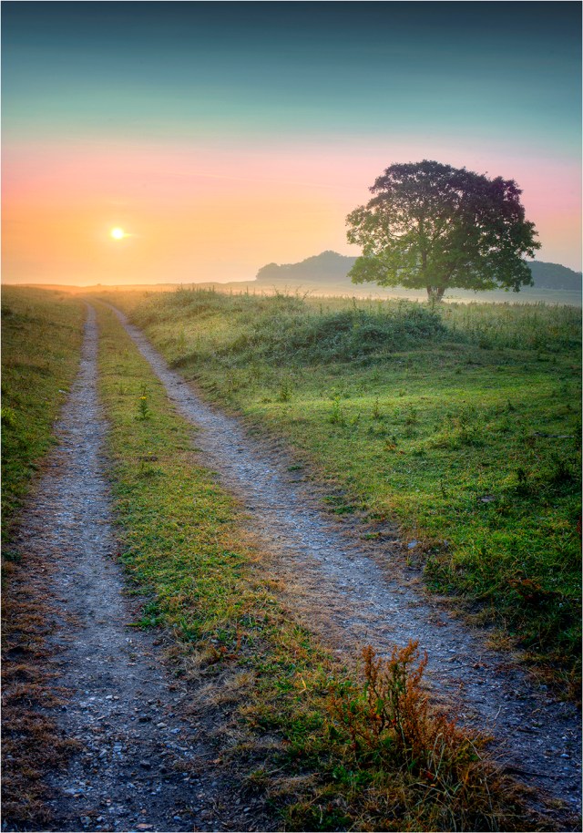 Dawn-Badbury-Rings-Dorset-E0624-14x20 copy
