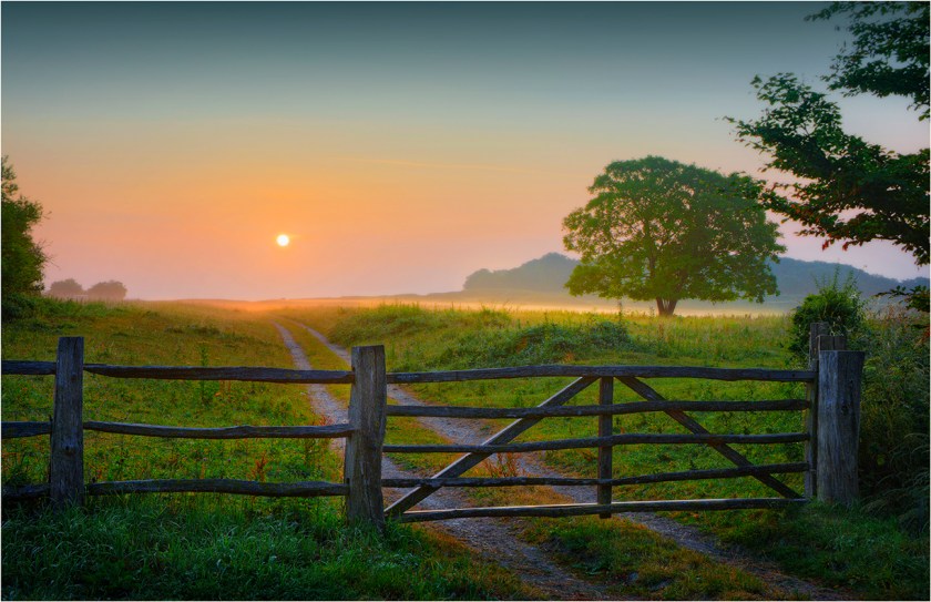 First-Light-Badbury-Rings-Dorset-E0629-11x17 copy