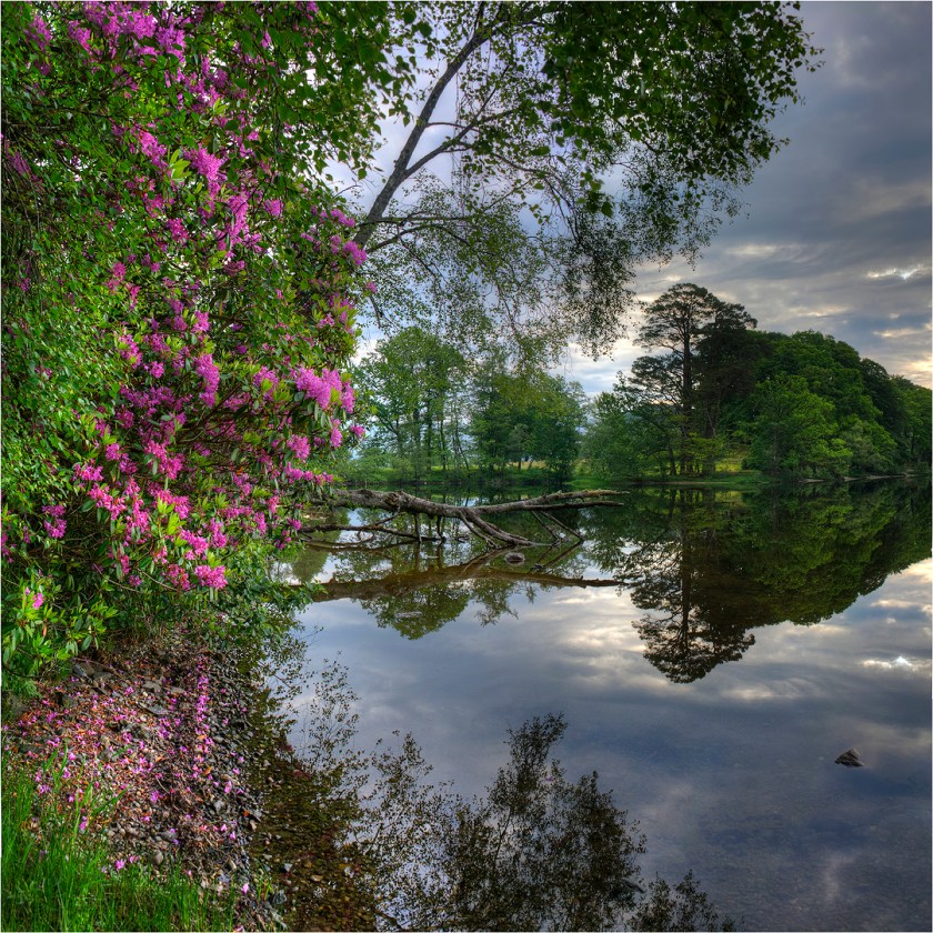 Luss-Cove-Loch-Lomond-S0114-20x20 copy