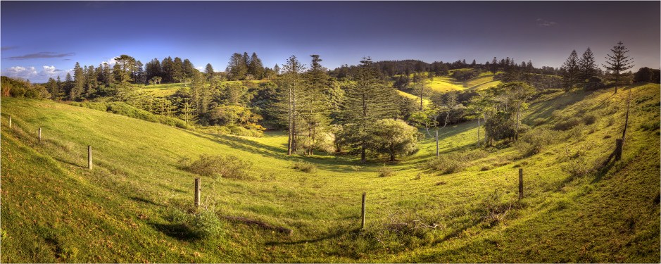 Country-Pastures-NI0288-12x30 copy