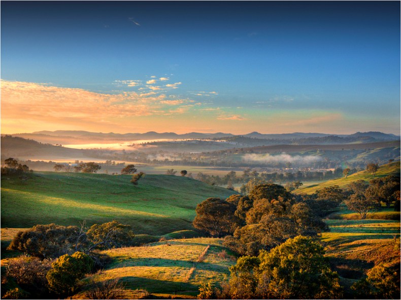 Misty-Morning-near-Jugiong