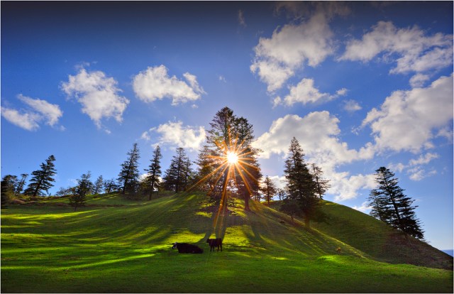 Sunstar-Prince-Phillip-Drive-NI0258-11x17 copy