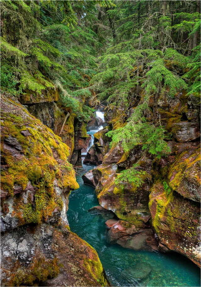 Avalanche-Creek-GlacierNP-MTN025-14x20 copy