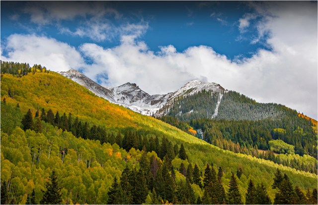 Aspens-Telluride-Autumn-CLD082-11x17 copy