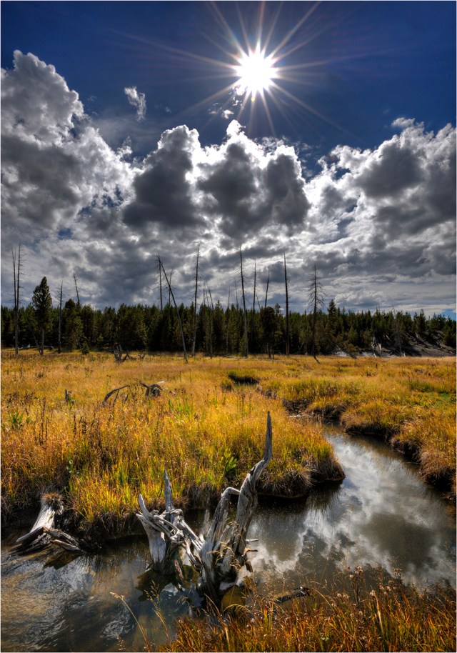 Gibbon-Meadows-YNP-WYM0140-14x20 copy