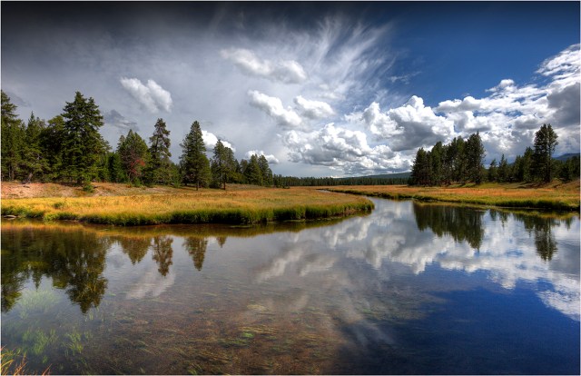 Gibbon-River-Reflections-YNP-WYM0139-11x17 copy