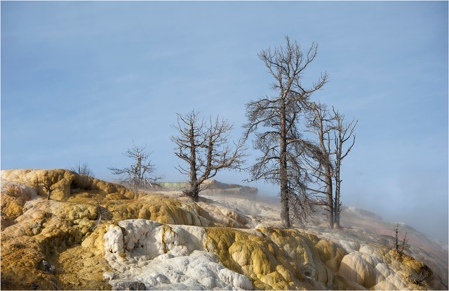 Mammoth-Springs-YNP-WYM0136-11x17 copy