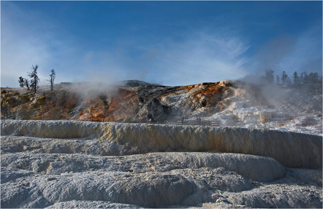 Mammoth-Springs-YNP-WYM0137-11x17 copy