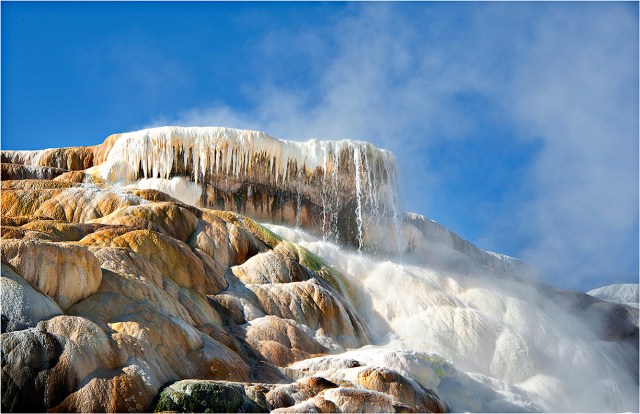 Mammoth-Springs-YNP-WYM0150-11x17 copy