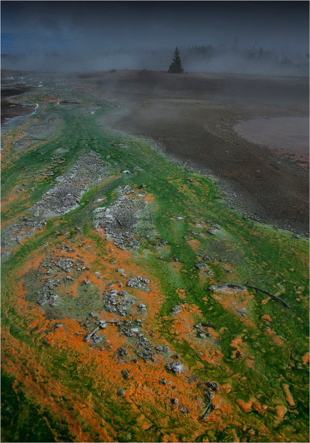 Porcelain-Basin-Norris-YNP-WYM0147-14x20 copy