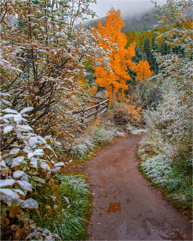 Telluride-Pathway-CLD0106-16x20 copy