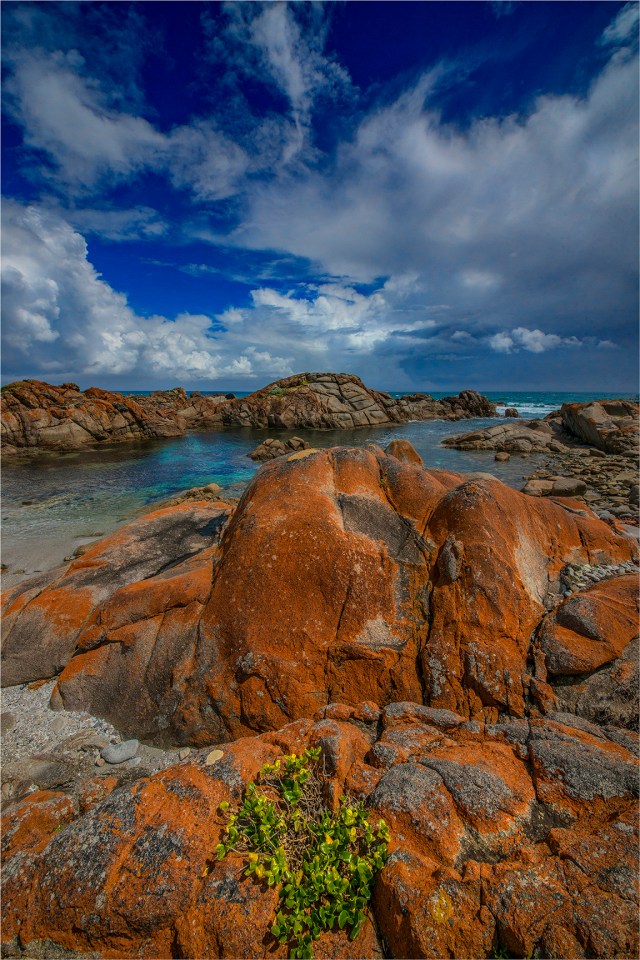 British-Admiral-Beach-KI0594-16x24