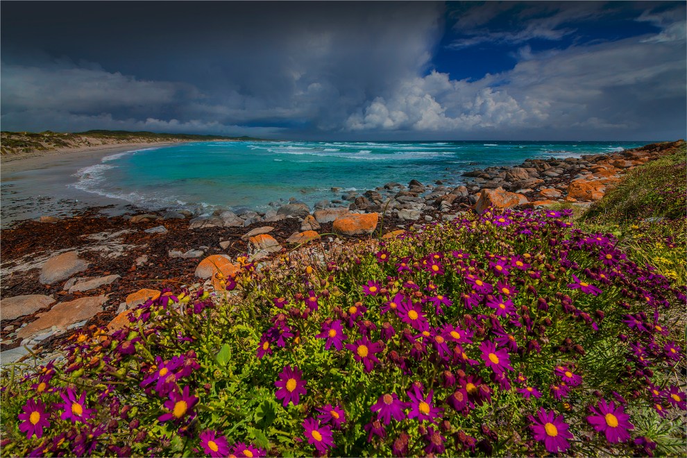 British-Admiral-Beach-KI0595-20x30