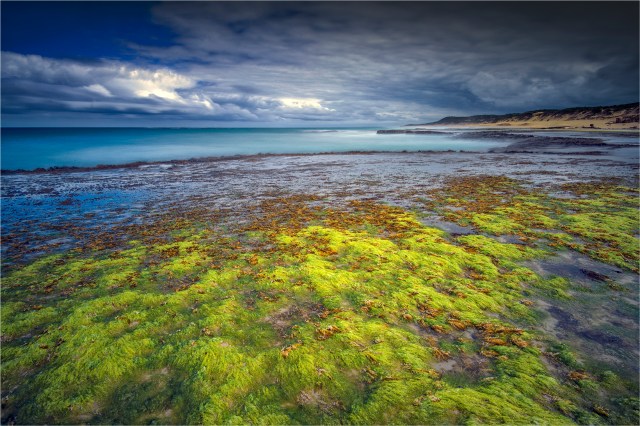 Coastline-the-Crags-Port-Fairy-VIC0622-20x30 copy