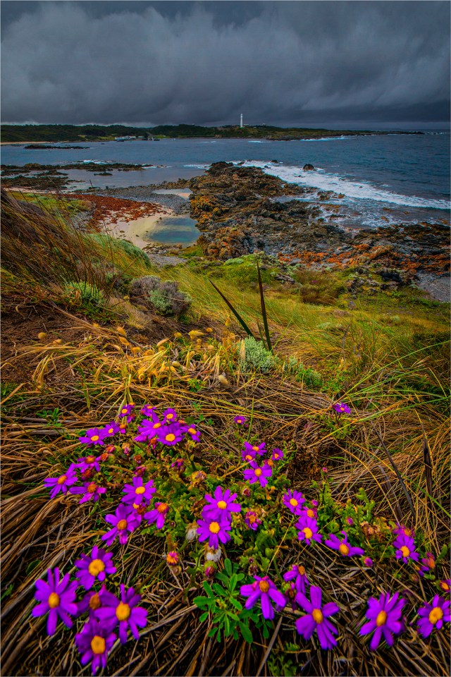 Currie-Harbour-KI0598-16x24