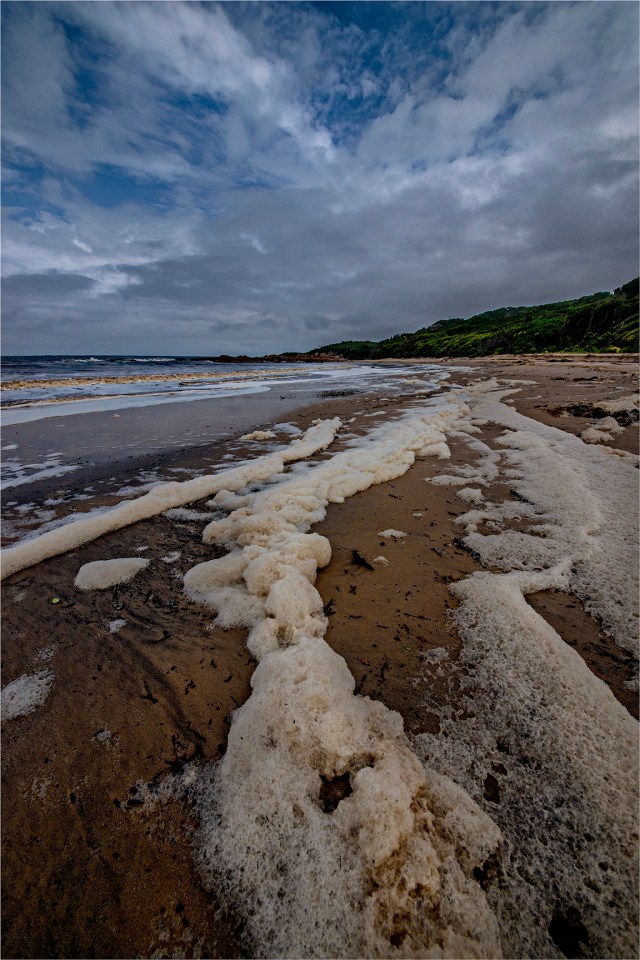 Grassy-Bay-tidal-Foam-KI0601-16x24