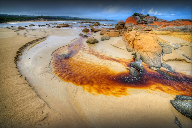 Grassy-Beach-and-Creek-KI0602-16x24