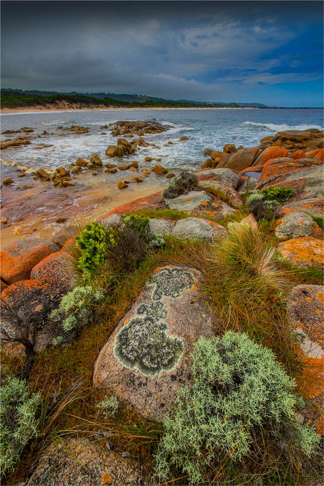 Grassy-Beach-KI0603-16x24