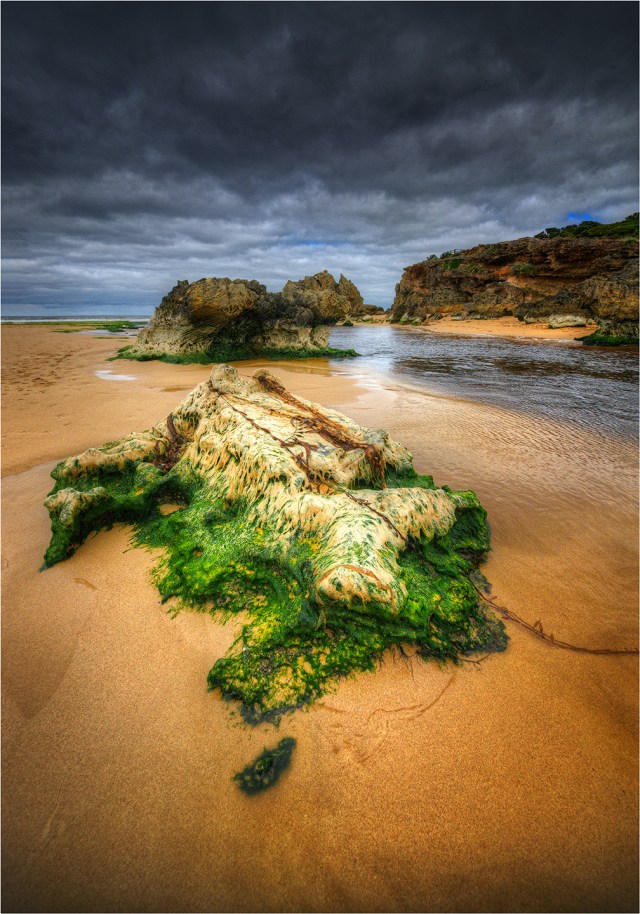 Hopkins-River-Warrnambool-low-Tide-VIC0641-14x20 copy