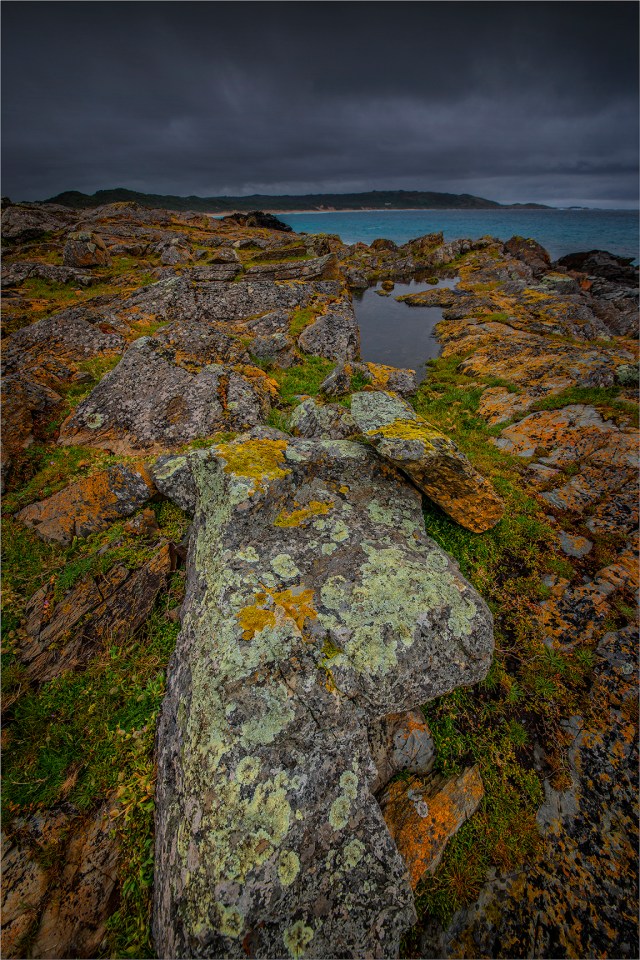 Seal-Point-Coastline-KI0612-16x24