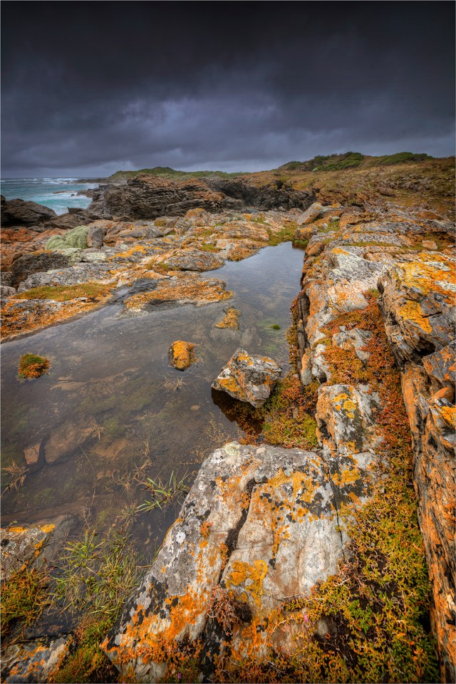 Seal-Point-Coastline-KI0613-16x24