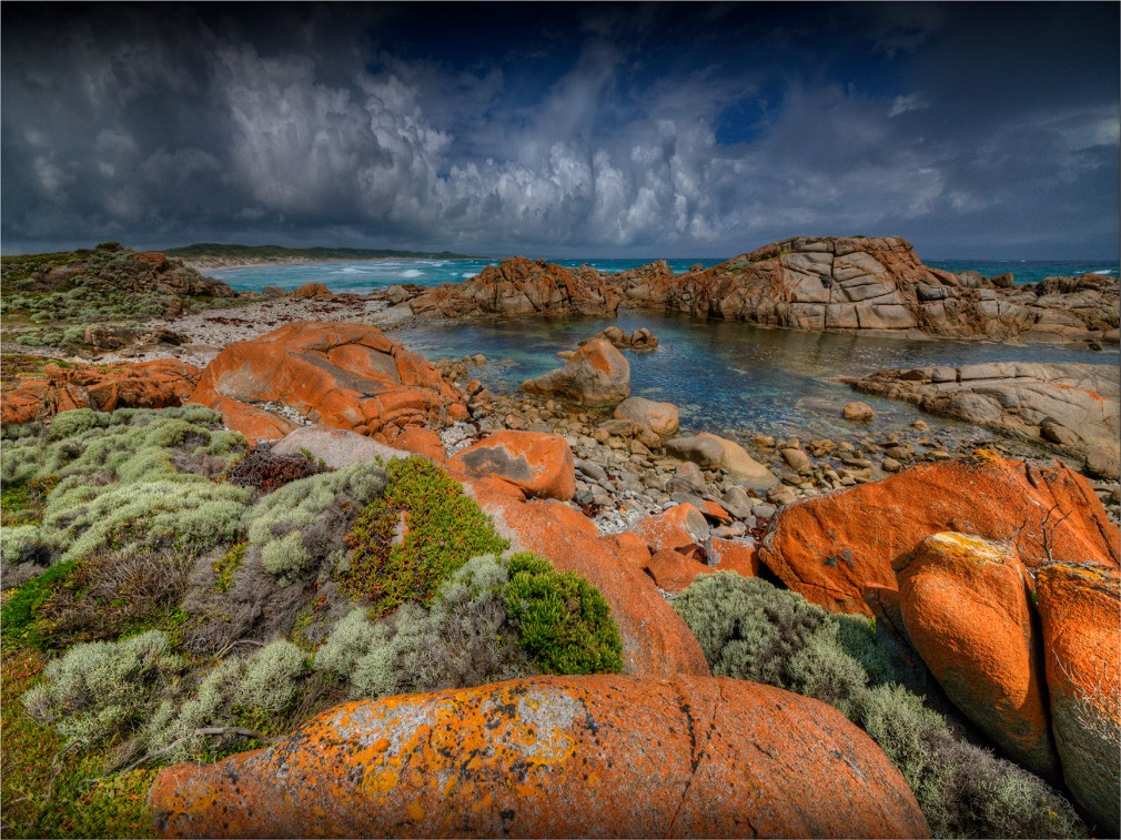 Tawards-British-Admiral-Beach-KI0615-18x24