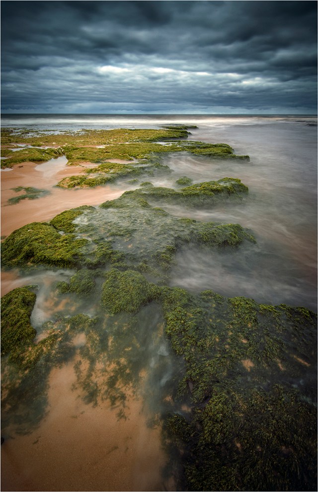 Tidal-Flow-Hopkins-River-Warrnambool-VIC0637-11x17 copy