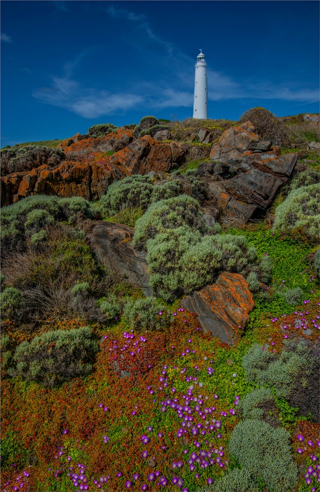 Wickham-in-Spring-KI0618-13x20