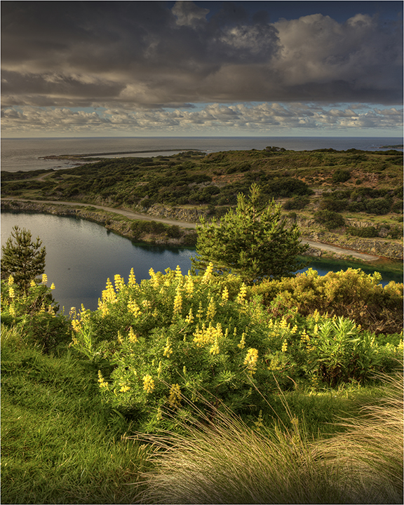 Flooded-Mine-Morning-Light-KI0624-16x20 copy