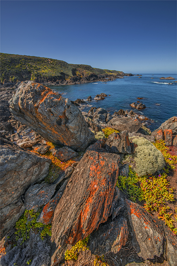 Seal-Rocks-KI0647-20x30 copy