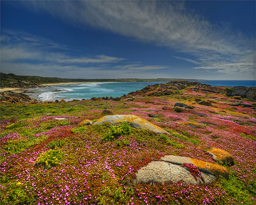 The-Garden-of-the-Island-KI0713-24x30 copy