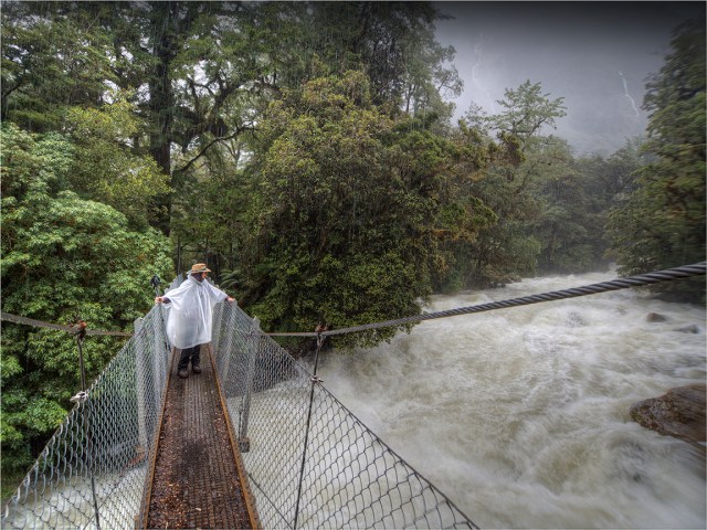 Ann-Poseidon-Creek-Milford-Track-NZ045-12x16 copy